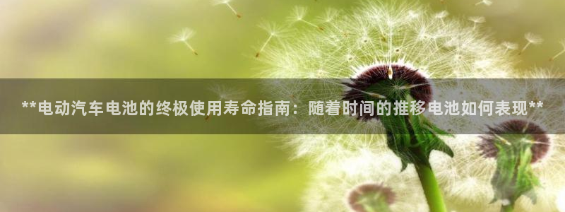 优发国际手机客户端下载安装