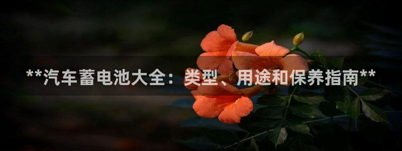 优发国际网站官网