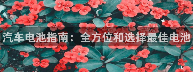优发国际手机客户端下载官网