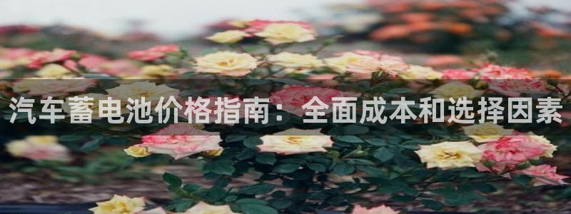 优发国际游戏官方网站入口