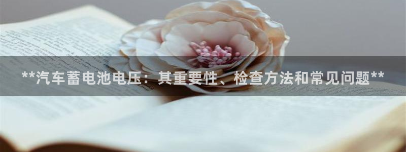优发国际下载安装