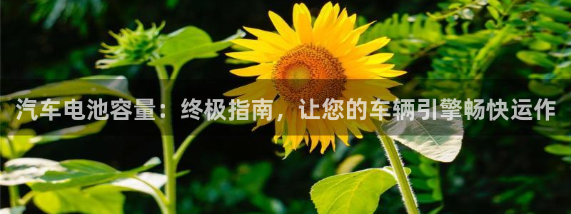 优发国际是大平台吗