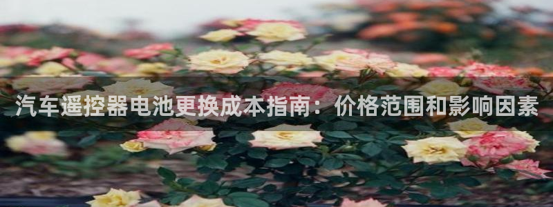 优发国际官网手机版下载