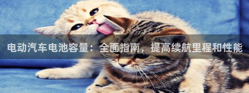 优发国际平台u8