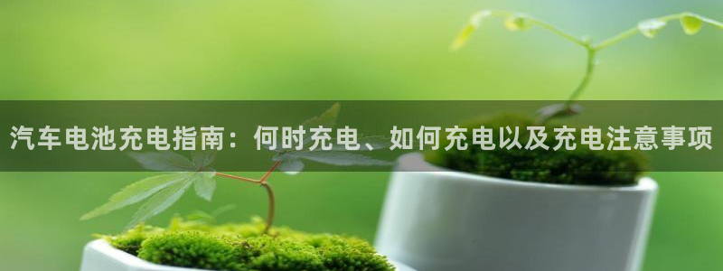优发国际网官网17o8