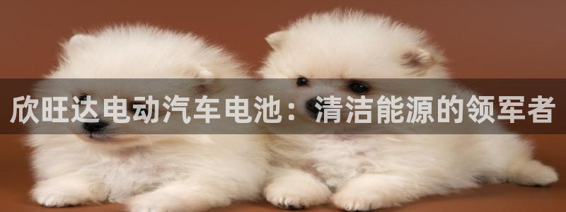 优发国际登录首页官网