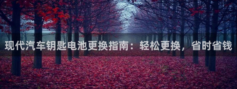 优发国际多少钱