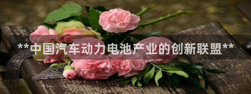 优发国际免费游戏下载