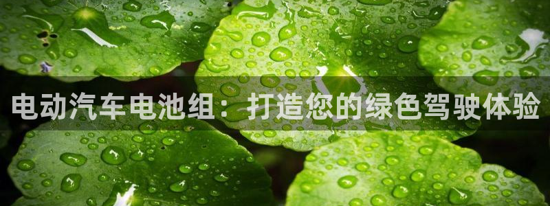 优发娱乐官网app下载