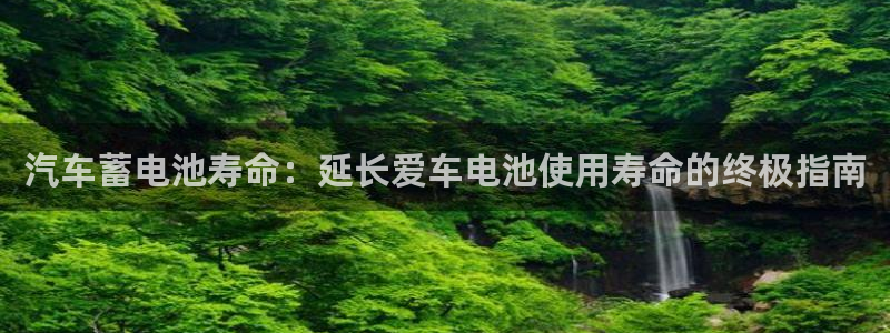 优发国际多少钱