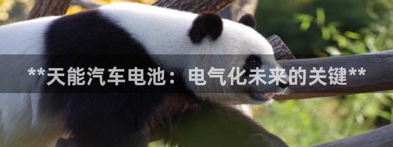 优发国际合并到哪里了啊