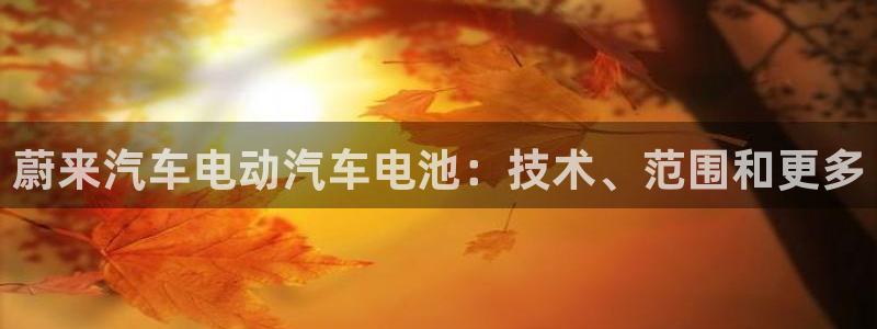 优发娱乐官网地址