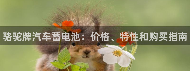 优发国际手机版网站官网