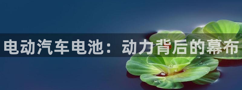 优发国际平台手机版下载