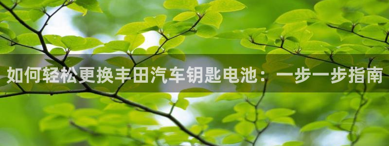 优发国际是大平台吗还是小平