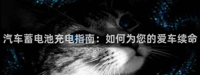 优发国际官方网手机版app