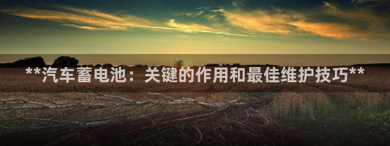 优发国际的网站是