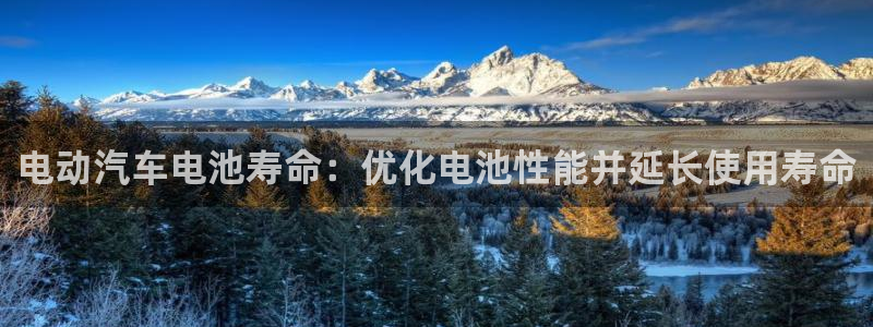 优发国际官网,首页
