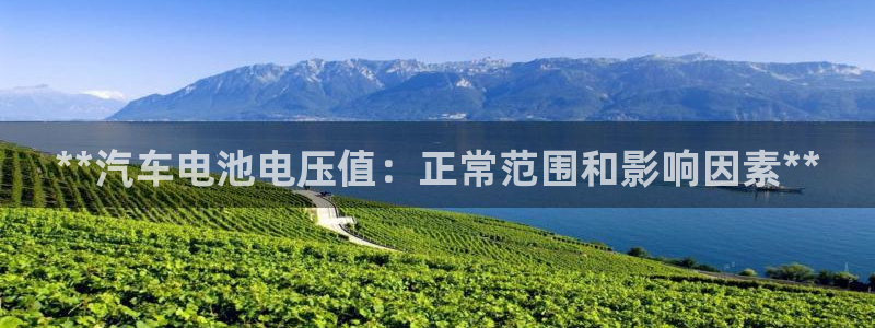 优发国际平台g80