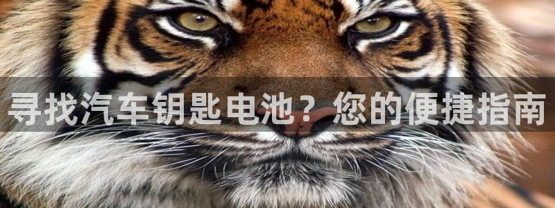 优发国际官网入口app下载