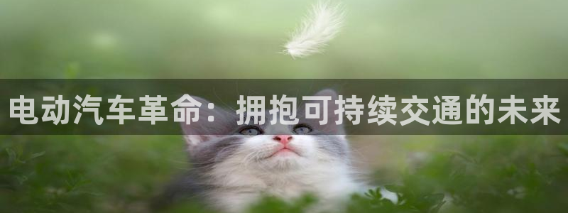 优发国际手机登录下载安装官网
