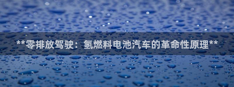优发国际的官网是