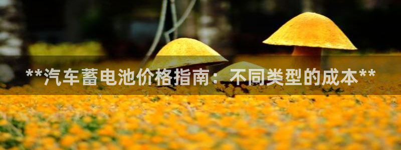 优发娱乐官网地址
