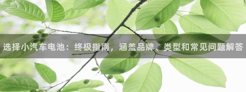 优发国际app