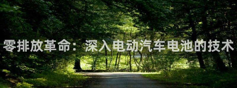 优发国际注册平台官网