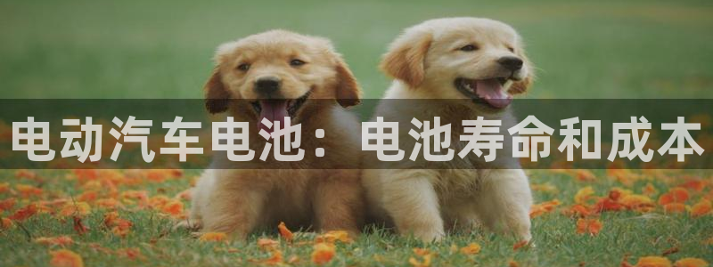 优发国际网官网17o8