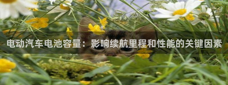 优发国际官网手机版代理