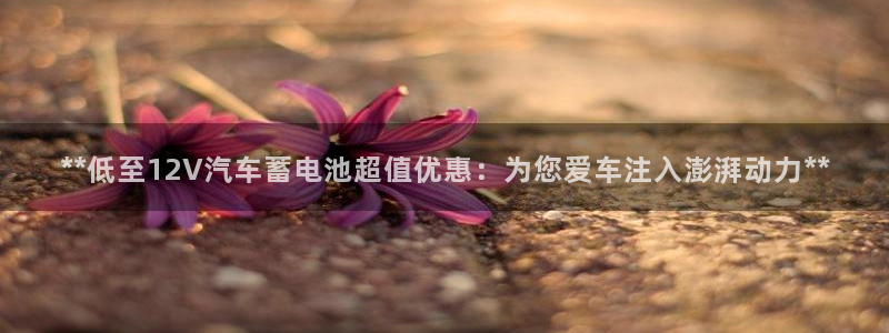 优发国际网官网17w8