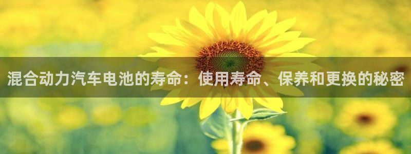 优发国际登录a