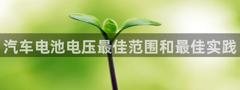 优发国际官网是多少