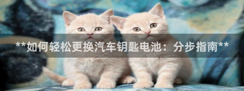 优发国际手机登录下载安装官网