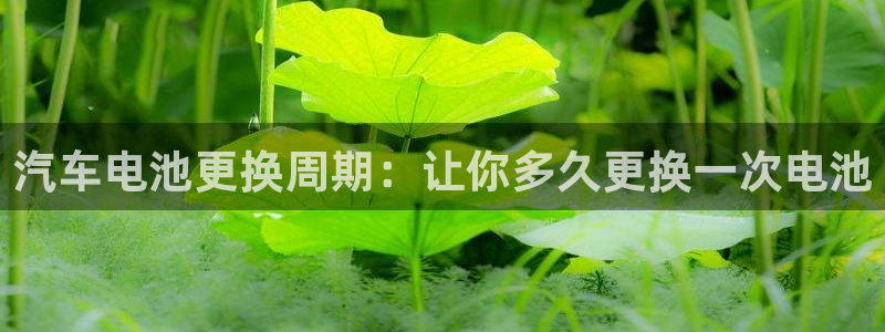 优发国际手机登录下载安装官网