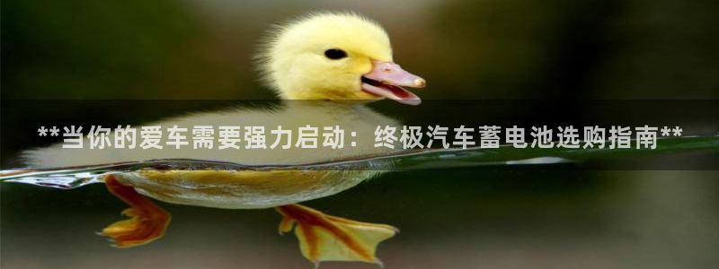 优发国际官方网手机版下载
