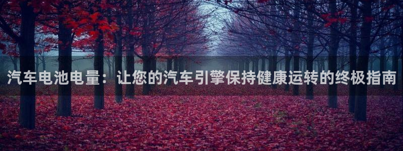 优发国际官方网手机版下载
