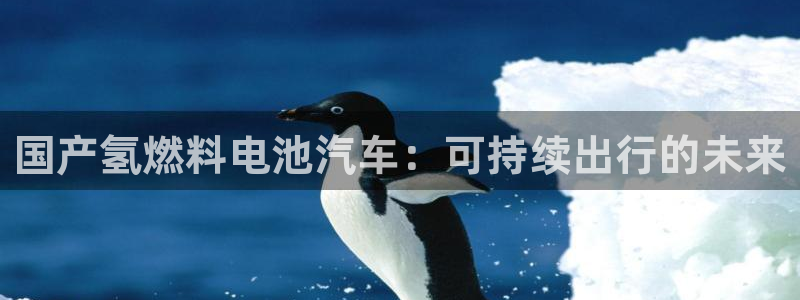 优发国际不出款了吗