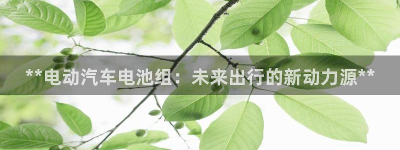 优发国际平台app下载官网
