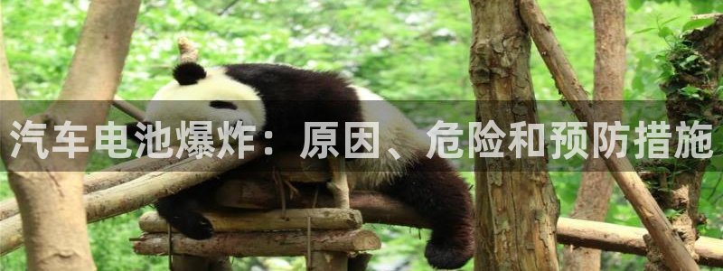 优发国际是大平台吗
