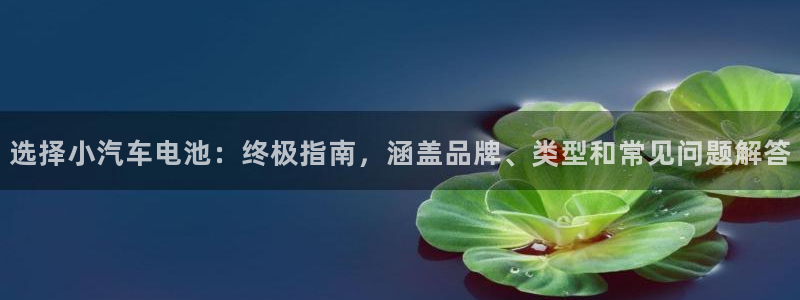 优发国际手机app下载安装官网