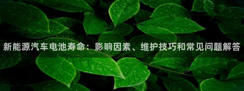 优发娱乐官网app下载