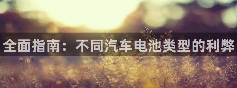 优发国际官方下载app