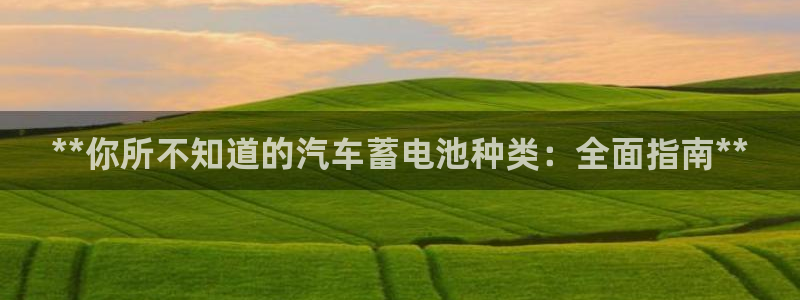 优发国际youfa966