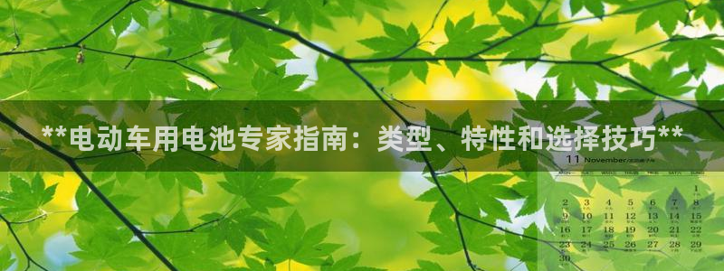 优发国际官网qy88