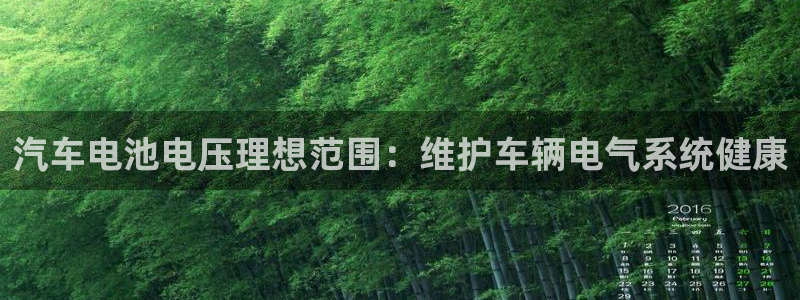 优发国际网官网17w8