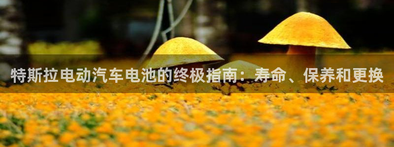 优发国际官方网手机版
