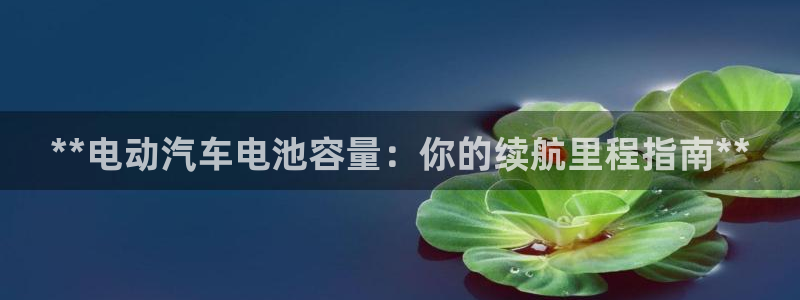 优发国际网官网17q8