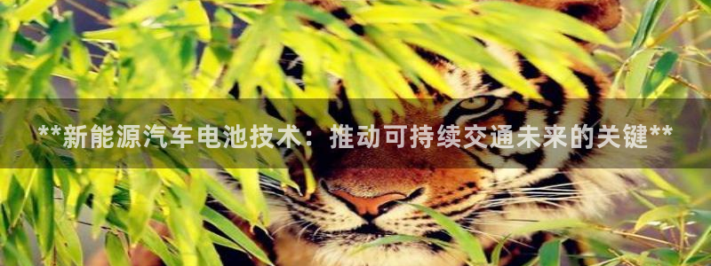 优发国际官网手机版下载安卓